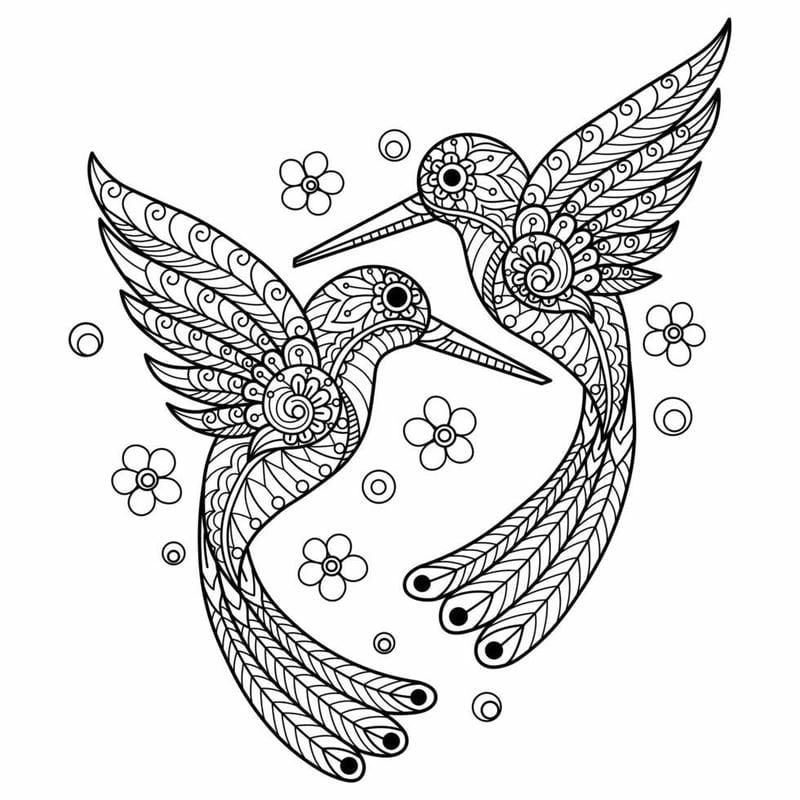 Tranh tô màu zentangle chim độc đáo giúp bé thỏa sức sáng tạo
