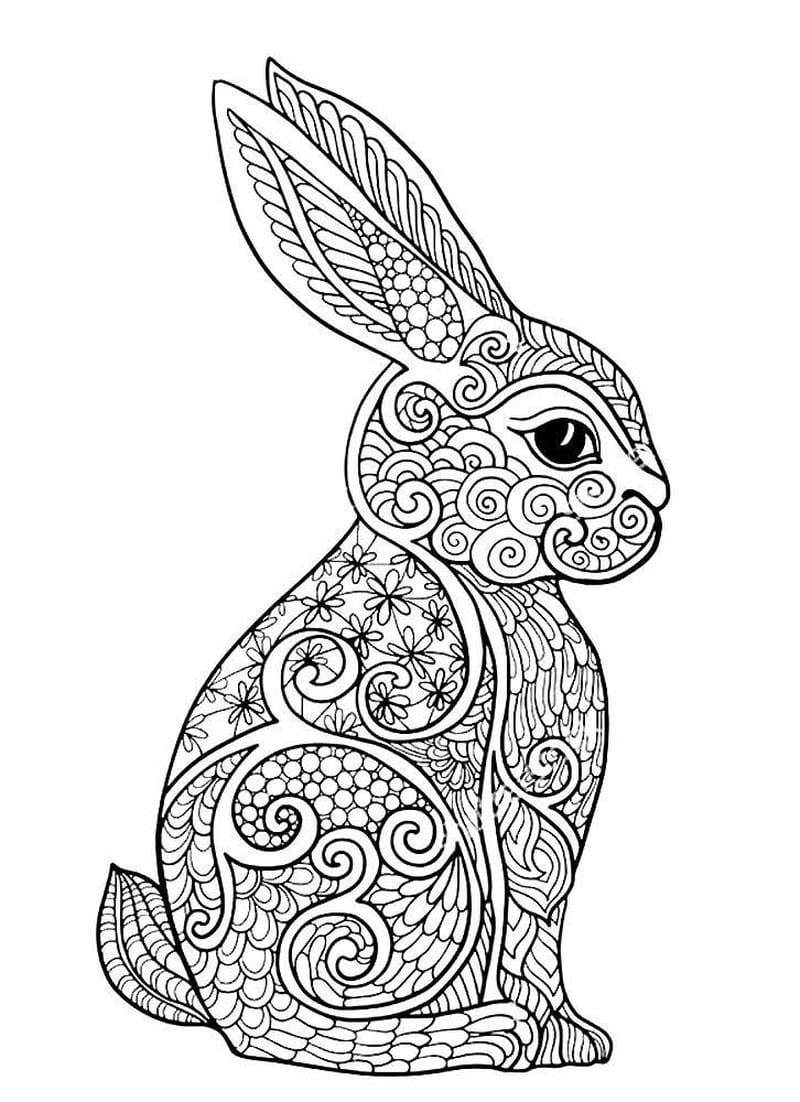 Tranh tô màu zentangle động vật chi tiết đẹp mắt và phong phú