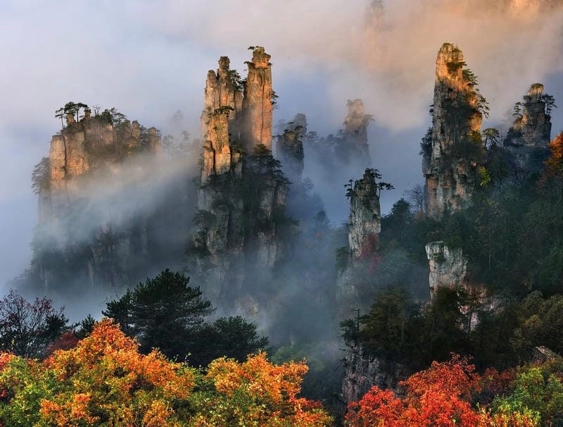 Đắm mình trong Trương Gia Giới hùng vĩ