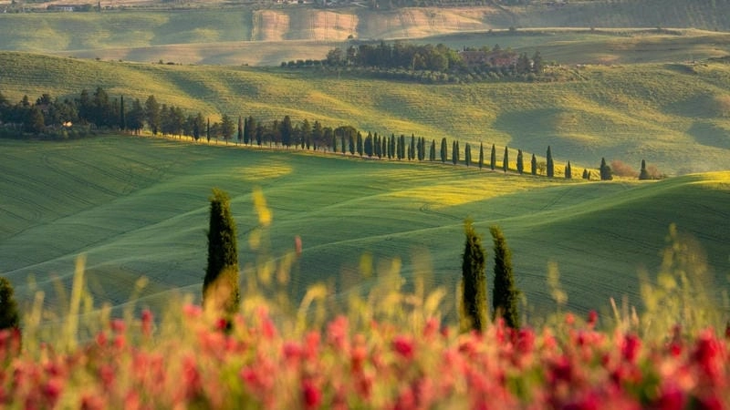 Khám phá lý do Tuscany là điểm đến yêu thích của tín đồ du lịch