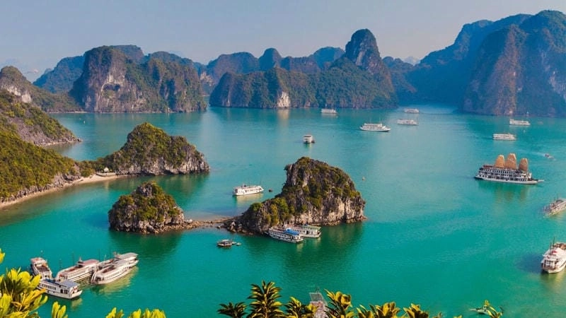 Săn những bức Vịnh Hạ Long thơ mộng