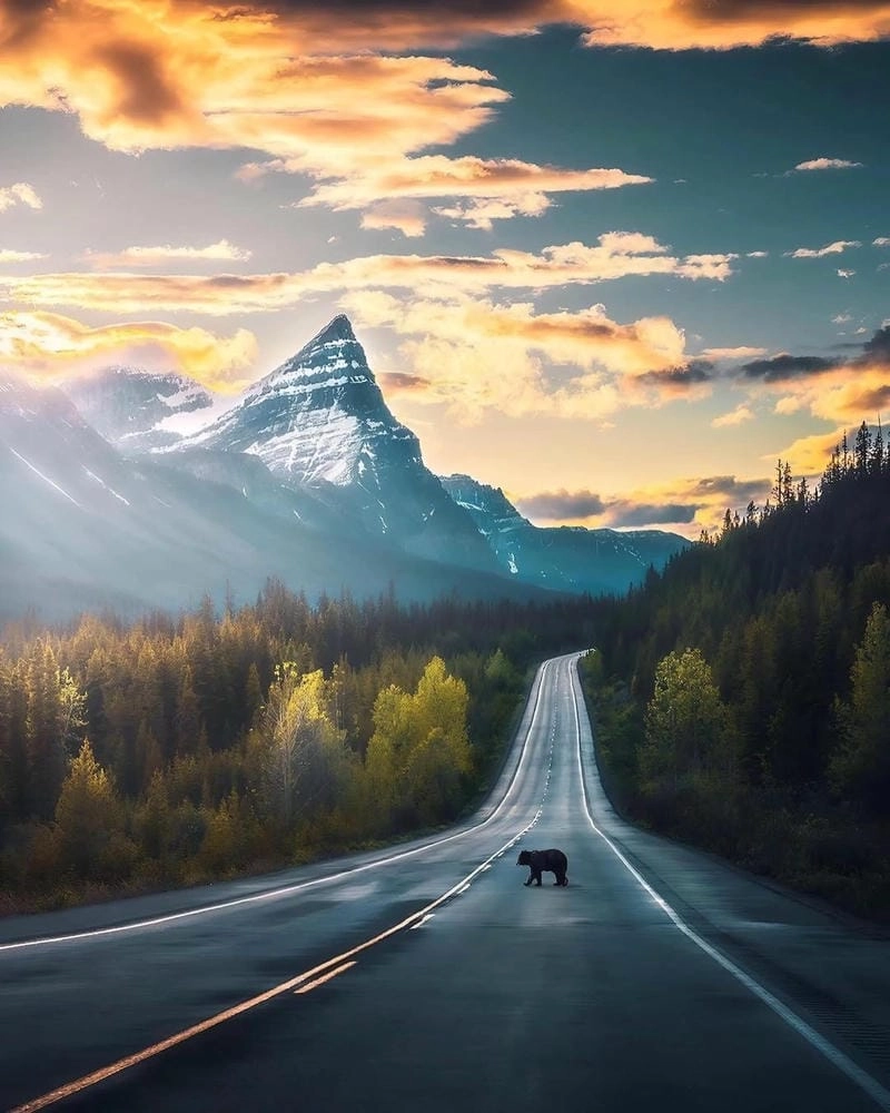 Đắm mình trong vườn quốc gia Banff hùng vĩ