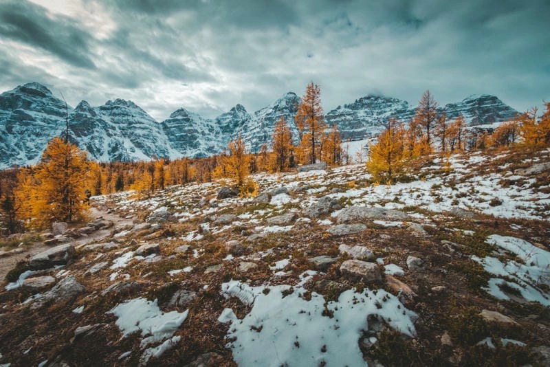 Săn những bức vườn quốc gia Banff hoang sơ