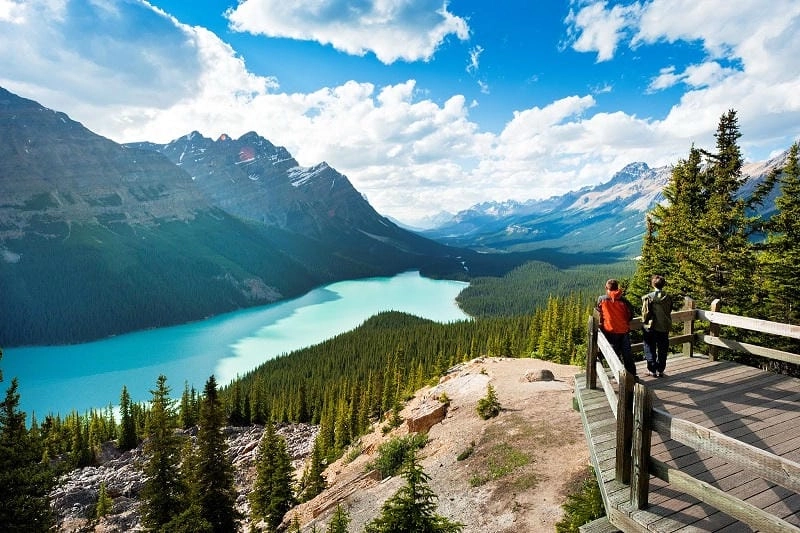 Sưu tầm những bức vườn quốc gia Banff thiên nhiên