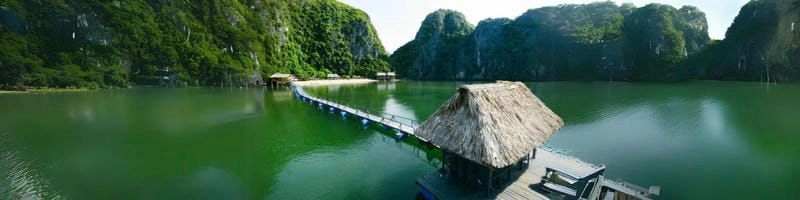 Sưu tầm những bức vườn quốc gia Cát Bà hấp dẫn