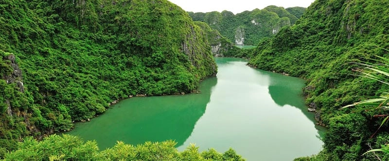 Tải ngay vườn quốc gia Cát Bà đặc sắc