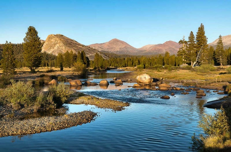 Ngắm nhìn vườn quốc gia Yosemite rừng xanh