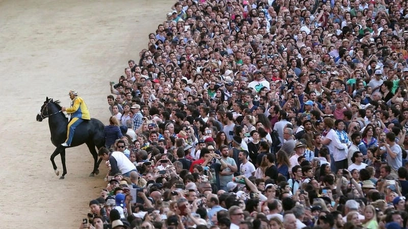 Thức dậy cùng lễ hội Palio di Siena ấn tượng