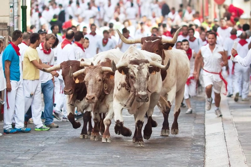 Cười sảng với lễ hội San Fermin vui nhộn