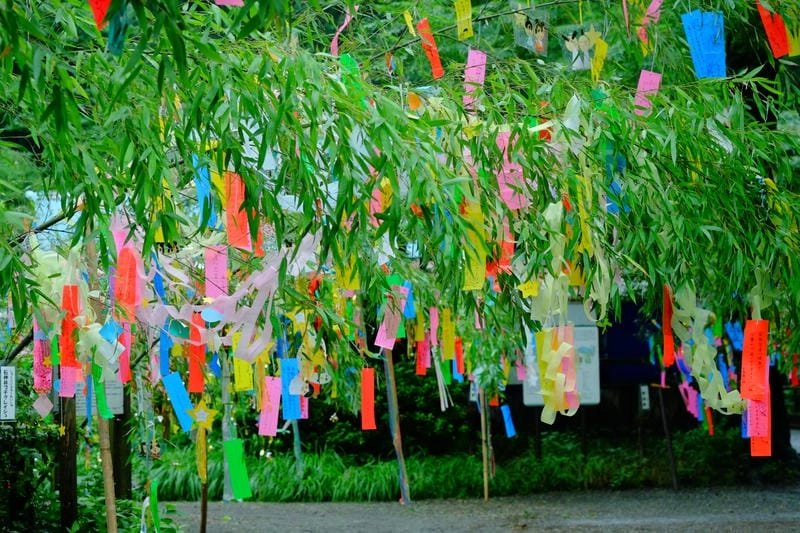 Tìm hiểu đôi nét giới thiệu về lễ hội Tanabata