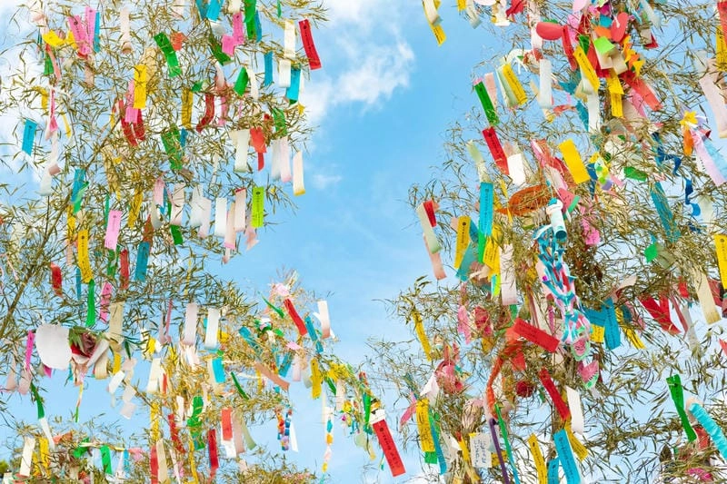 Ngắm nhìn vẻ đẹp lễ hội Tanabata cuốn hút