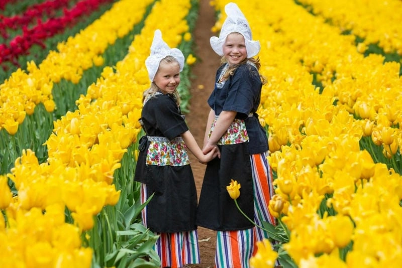 Ngắm nhìn vẻ đẹp lễ hội Tulip Time sắc màu