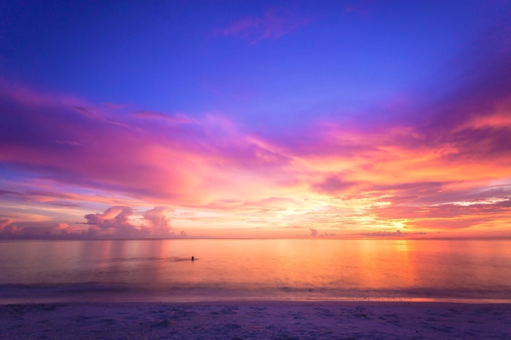 Vẽ tranh phong cảnh hoàng hôn đơn giản đẹp mắt