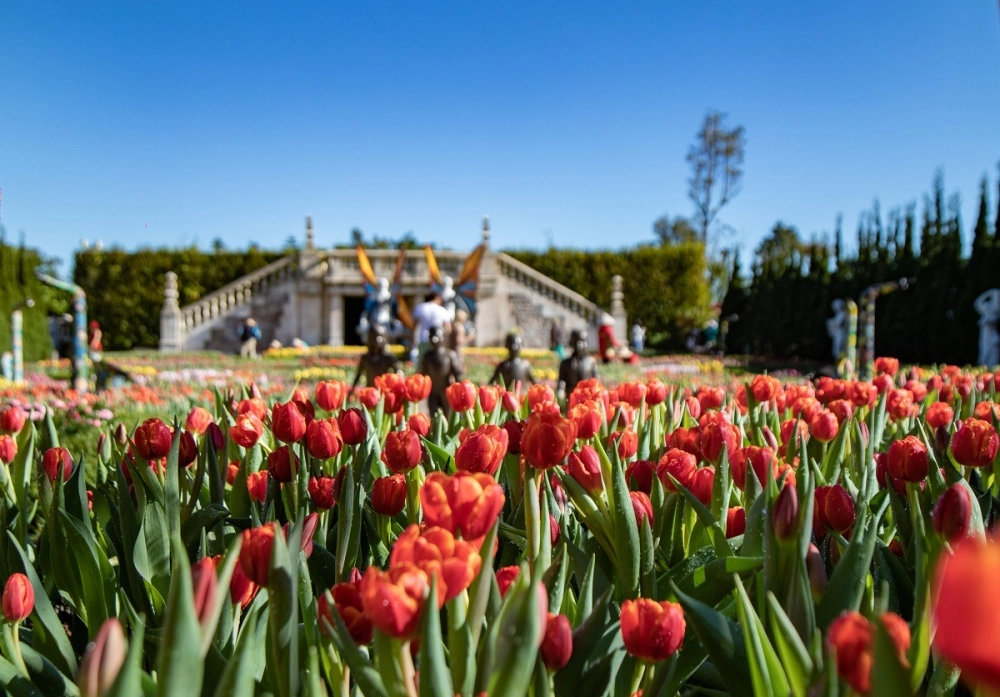 Diễu hành lễ hội tulip time sôi động với trang phục dân gian