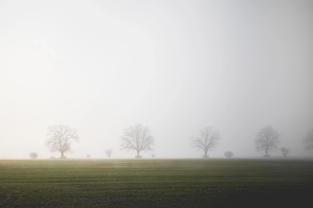 Sương mù sapa đẹp tạo nên khung cảnh núi rừng huyền ảo