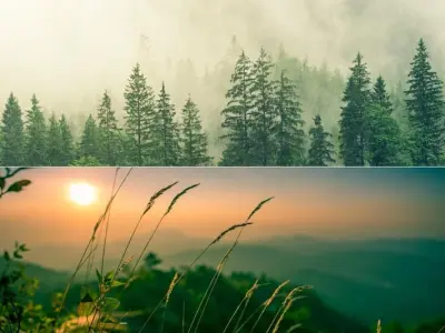 Khám phá bộ ảnh bìa thiên nhiên độc đáo và đầy mê hoặc