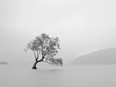 Tuyển chọn black and white landscape nghệ thuật độc đáo