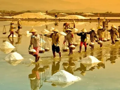 Khám phá vẻ đẹp cánh đồng muối trắng tinh tuyệt đẹp