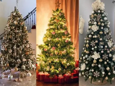 Cây thông Noel - Biểu tượng Giáng Sinh lung linh và rực rỡ