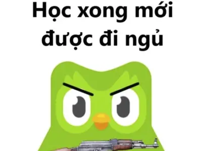 Tổng hợp những ảnh Duolingo meme khiến bạn bật cười