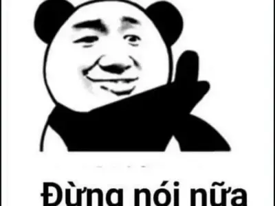 Tổng hợp ảnh gấu trúc bựa siêu lầy lội hot nhất hiện nay