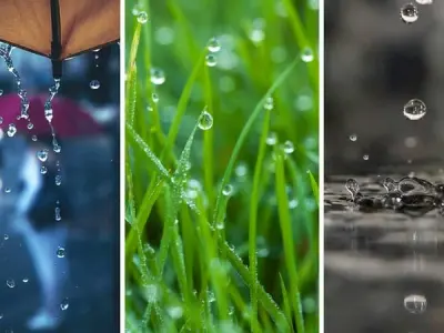 Bộ sưu tập hình nền giọt nước đầy tinh tế và sống động