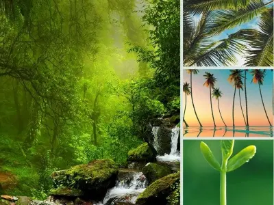 Khám phá bộ sưu tập hình nền lá cây xanh mát đầy sức sống