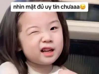 Bộ sưu tập ảnh hình nền meme cute siêu dễ thương cho bạn