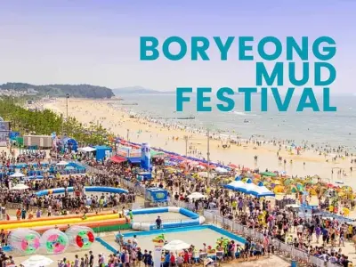 Hòa mình vào lễ hội tắm bùn Boryeong cùng trải nghiệm thú vị