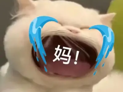 Tổng hợp ảnh meme cat cry hài hước khiến bạn cười nghiêng