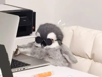 Những ảnh meme chim cánh cụt dễ thương và hài hước