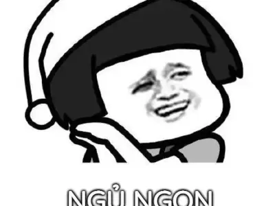 Tổng hợp ảnh meme chúc ngủ ngon hài hước dành cho bạn