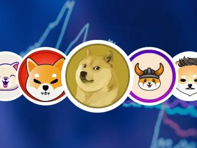 Những ảnh meme coin thú vị khiến cộng đồng crypto thích mê