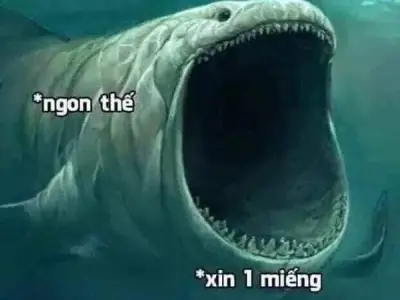Tuyển chọn những ảnh meme há miệng chế vui nhộn độc lạ