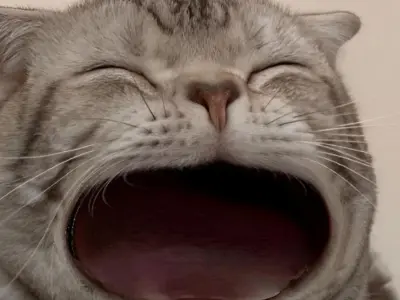 Tổng hợp ảnh meme há mồm chế cực độc đáo và vui nhộn