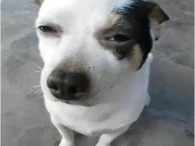 Tổng hợp ảnh meme khó hiểu độc lạ, xem xong bật cười ngay