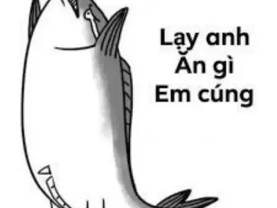 Bộ sưu tập ảnh meme lạy hài hước, cực chất cho dân mạng