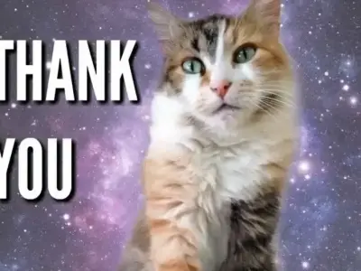 Ảnh meme thank you đáng yêu, cực thích hợp gửi bạn bè
