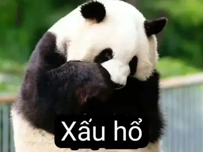 Tổng hợp ảnh meme Trung Quốc vui nhộn gây cười không ngừng