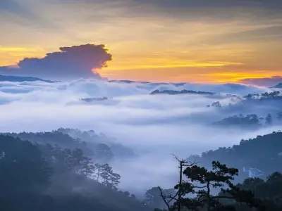Ngắm nhìn phong cảnh sương mù qua những bức ảnh huyền ảo