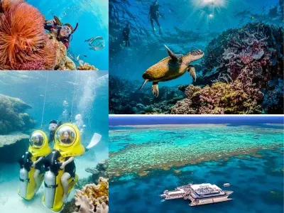 Ảnh Rạn san hô Great Barrier tuyệt mỹ dưới lòng đại dương