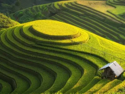 Tuyển chọn ảnh ruộng bậc thang Sapa đầy thơ mộng