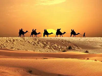 Ảnh sa mạc Sahara rực rỡ dưới ánh nắng vàng chói chang