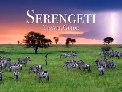 Ngắm nhìn ảnh Serengeti cùng muôn loài động vật hoang dã