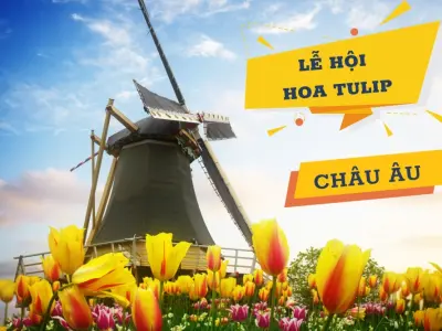 Lễ hội Tulip Time sắc màu rực rỡ mang phong vị Hà Lan