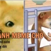164+ Ảnh Chó Meme Hài Hước Nhất 2026