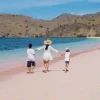 Khám Phá Bãi Biển Sầm Sơn: Điểm Hẹn Hấp Dẫn Của Thanh Hóa