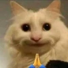 Khám Phá Thế Giới Ảnh Chế Mèo Meme Hài Hước Nhất 2026