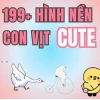 Khám phá thế giới Meme con vịt: Hài hước, đáng yêu và cực trend 2026