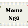 Tổng hợp meme ngủ ngon: Chúc bạn và người thân có giấc mộng đẹp